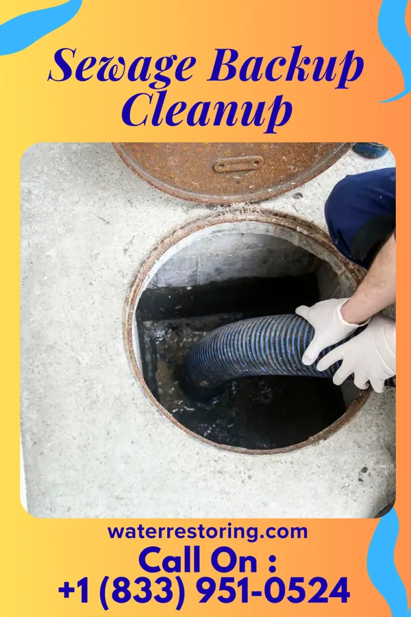 Sewage Backup Cleanup in Manderson-White Horse Creek, SD